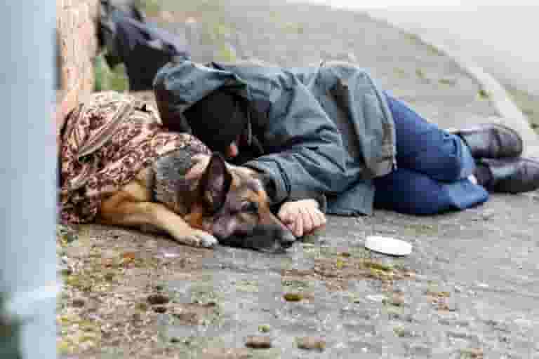 A person in a hooded coat lies on a sidewalk, resting against a brick wall, with their dog beside them. Both appear to be seeking warmth and comfort, while a small container nearby hints at their need for support—like Brain Injury Support from NBIS.