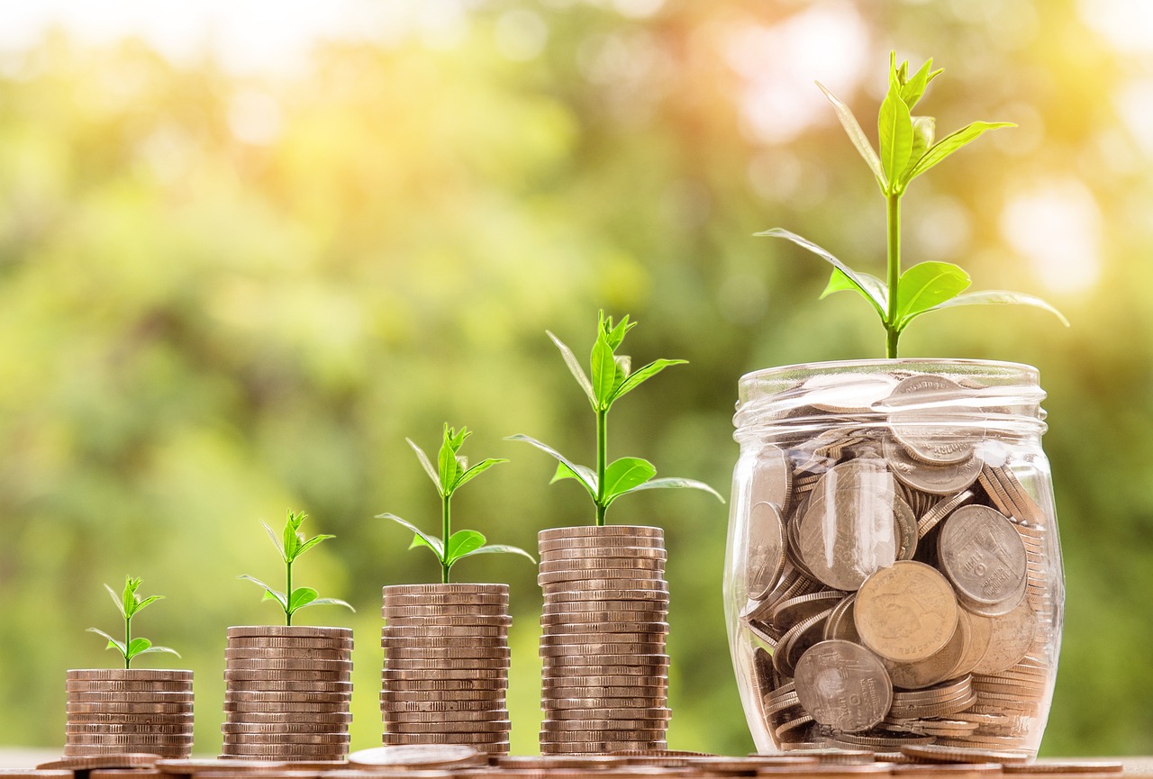 Four stacks of coins, each with a small plant growing on top, increase in height from left to right. The tallest stack is in a glass jar filled with coins, symbolizing financial growth and savings—reflecting the mission of the Nanaimo Brain Injury Society.