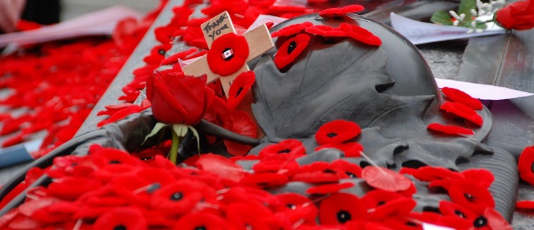 A war memorial covered in red poppies, a red rose, and a small cross with a note. The scene honors fallen soldiers, symbolizing remembrance and respect on Remembrance Day.